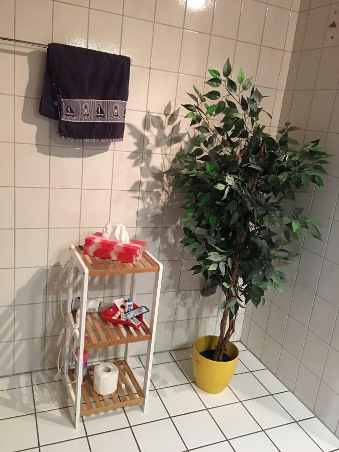 צל אן דר מוזל Ferienwohnung Martina מראה חיצוני תמונה